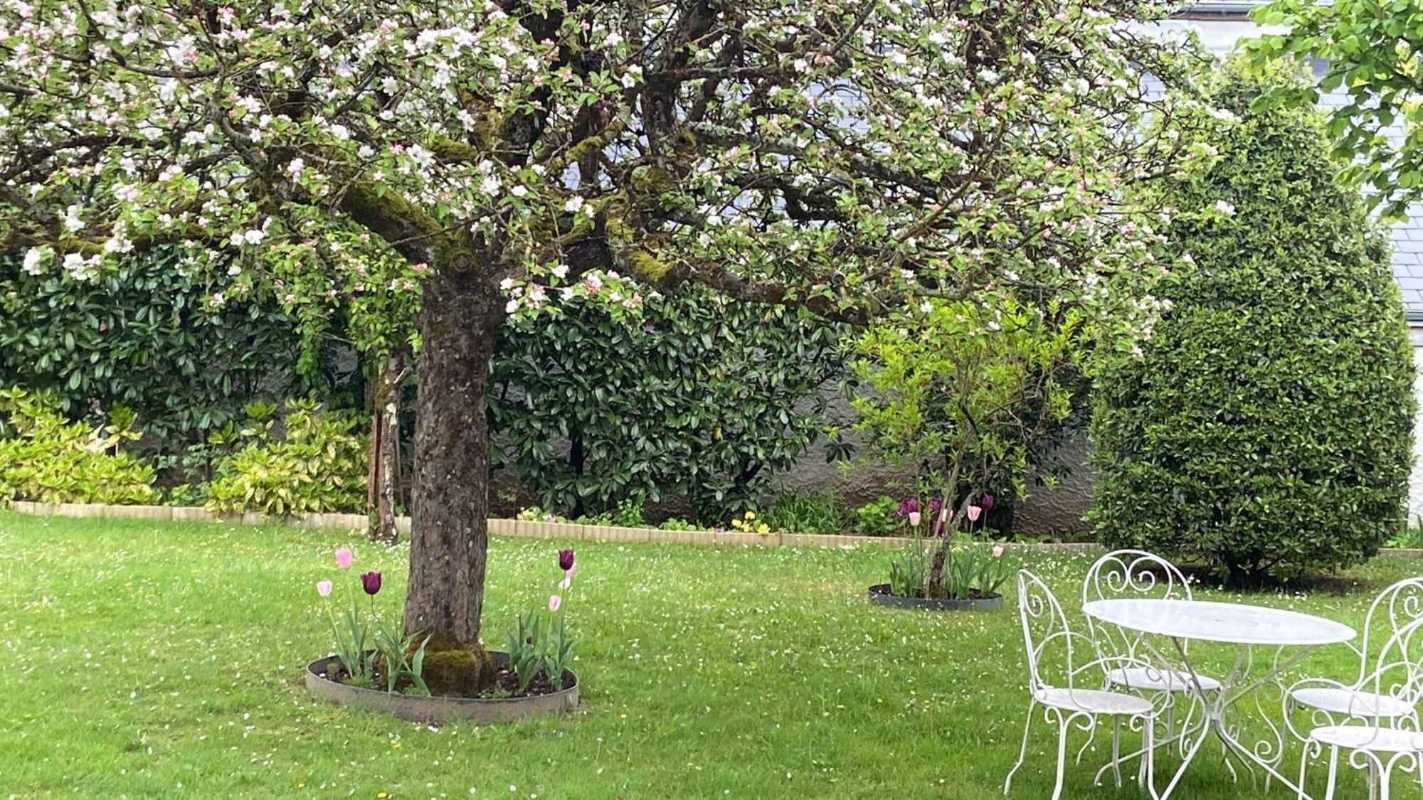 Le Hameau Du Moulin A Vent Hotel Сант-Авертан Екстериор снимка